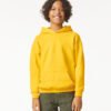 Softstyle™ midweight fleece youth hoodie