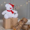 Zippie Christmas bear