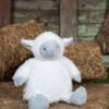 Zippie Lamb