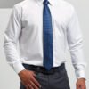 Puppy tooth tie