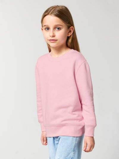Kids Mini Changer 2.0 iconic crew neck sweatshirt (STSK181)