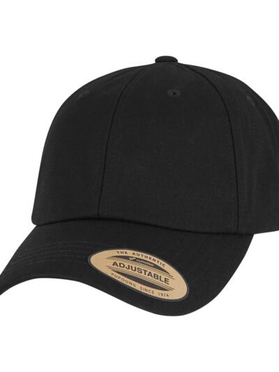 Flexfit low-profile with elastic snip (9302)